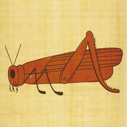 Day 8: Locusts